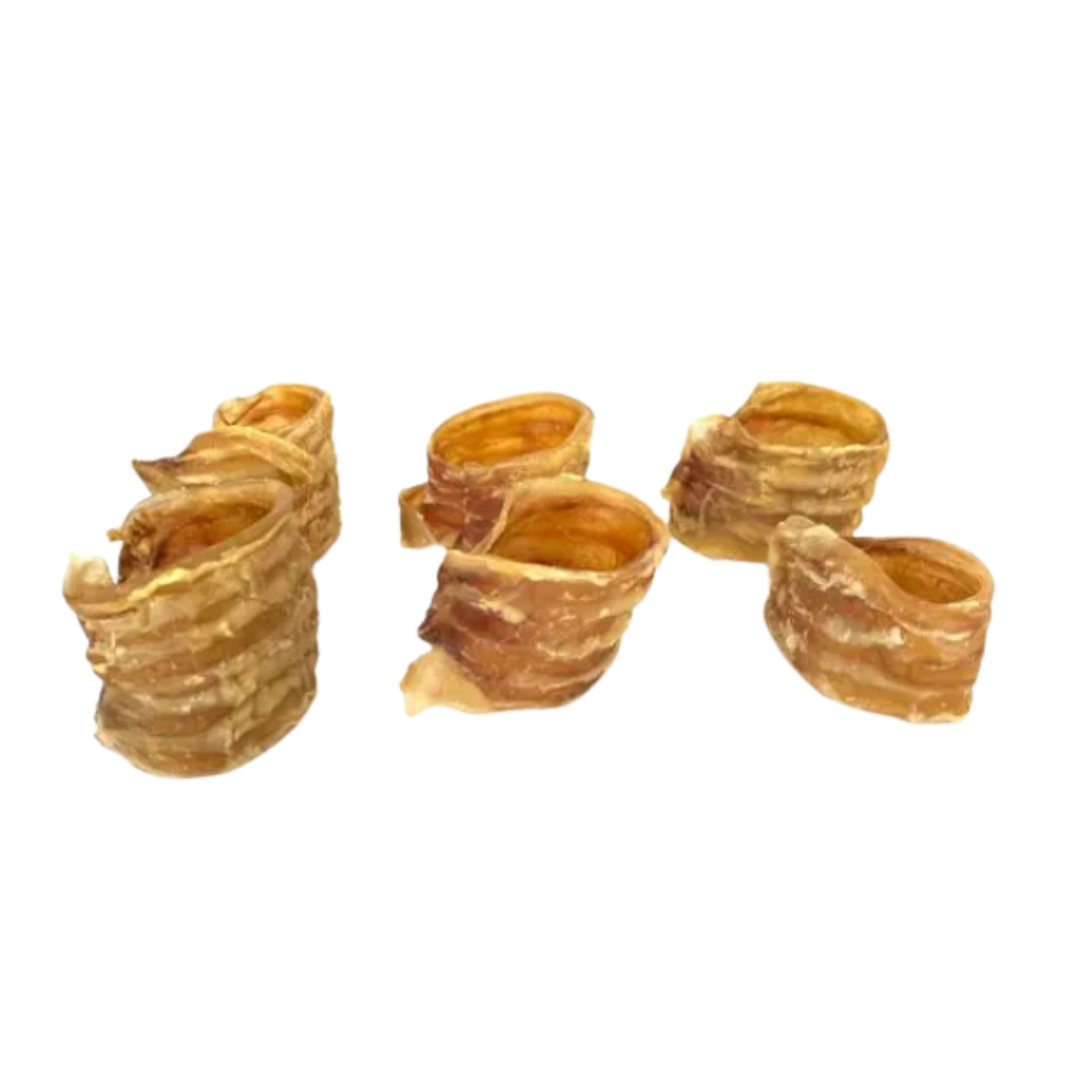 Traqueia Bovina - (kit 4 unidades)