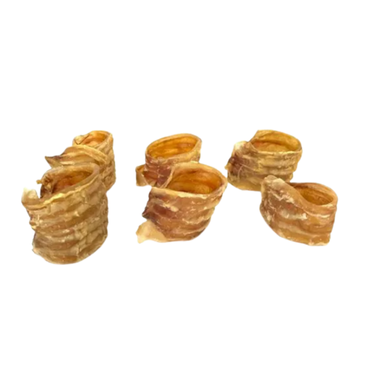 Traqueia Bovina - (kit 4 unidades)