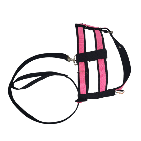 Conjunto Guia e Peitoral