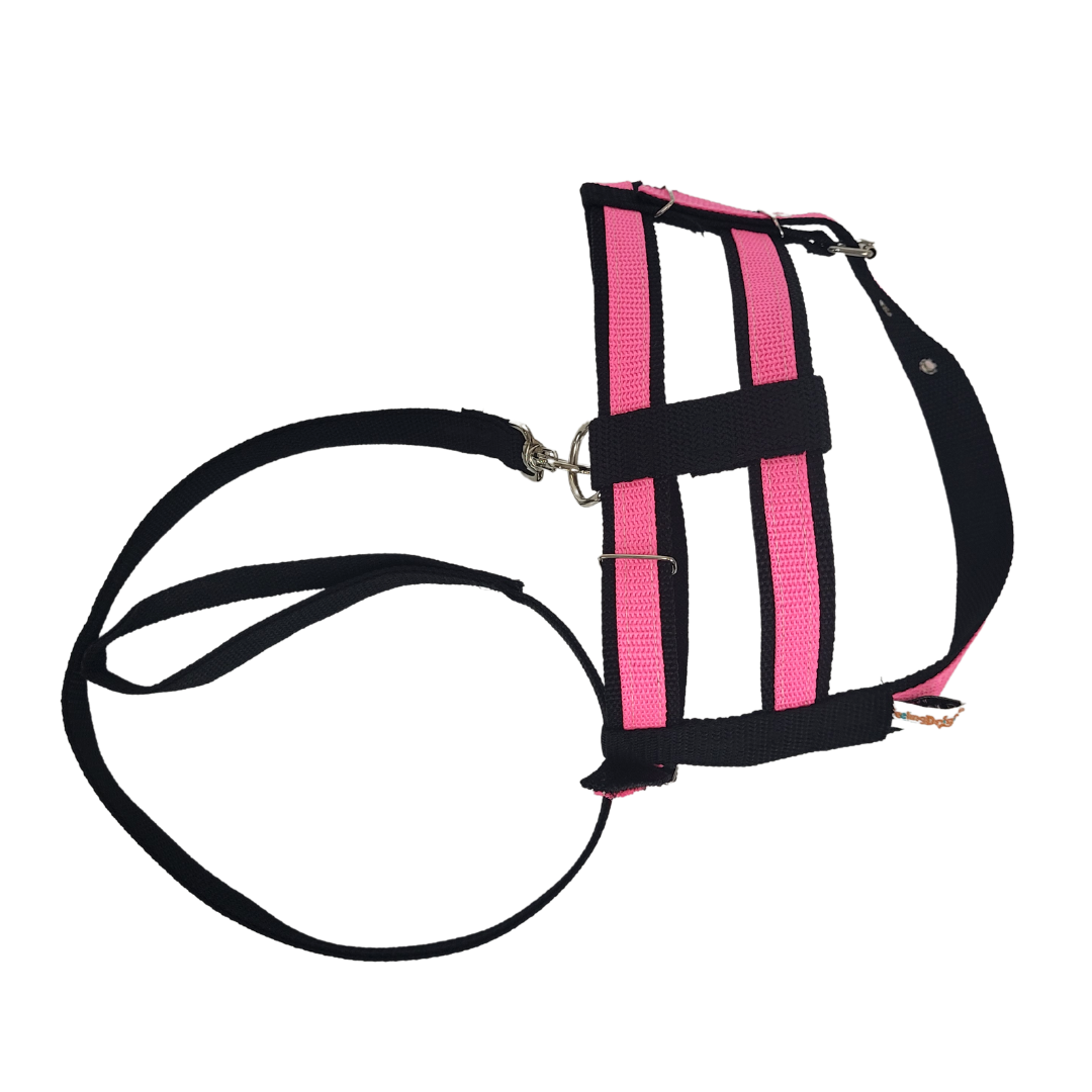 Conjunto Guia e Peitoral